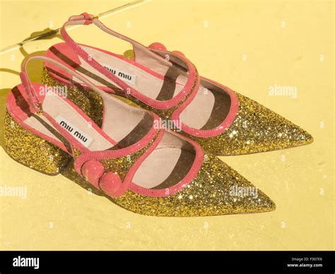 miumiu designer|miu michu shoes.